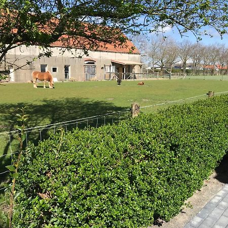 Vakantiewoningen De Schelp Renesse Exterior foto