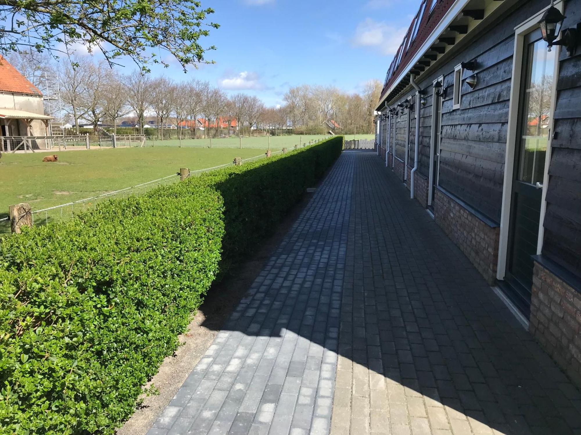 Vakantiewoningen De Schelp Renesse Exterior foto