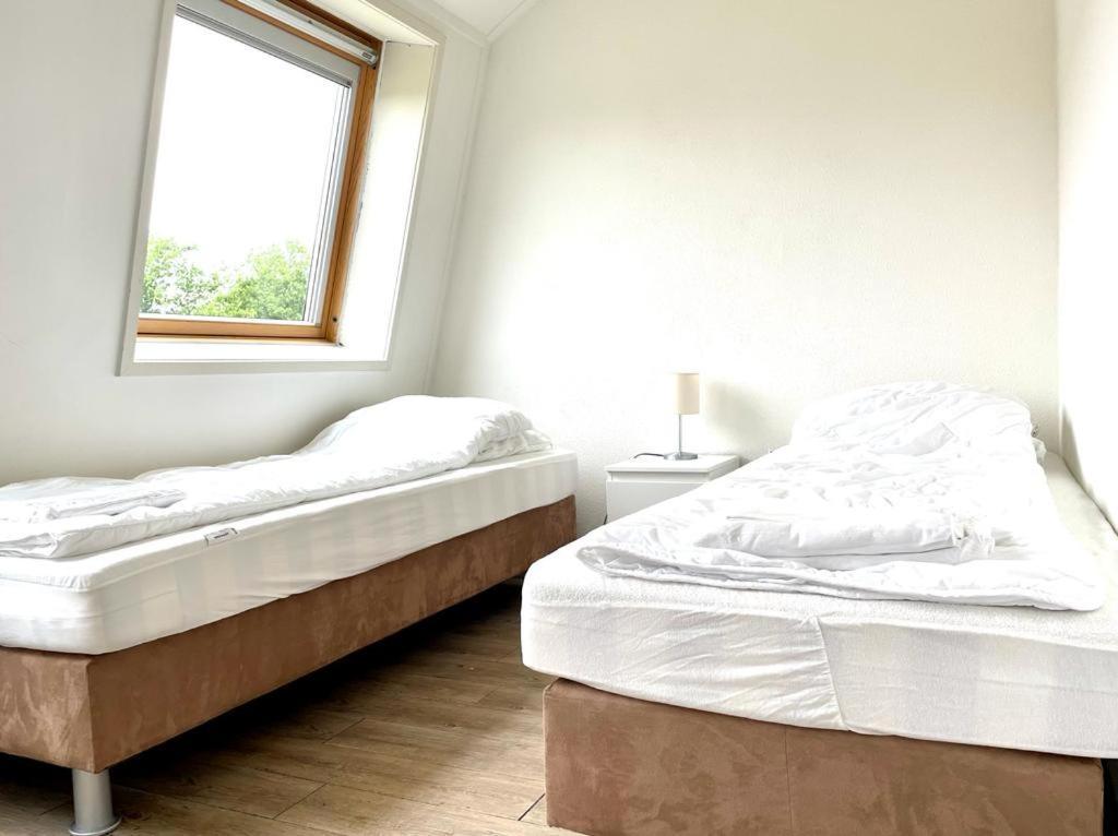 Vakantiewoningen De Schelp Renesse Exterior foto